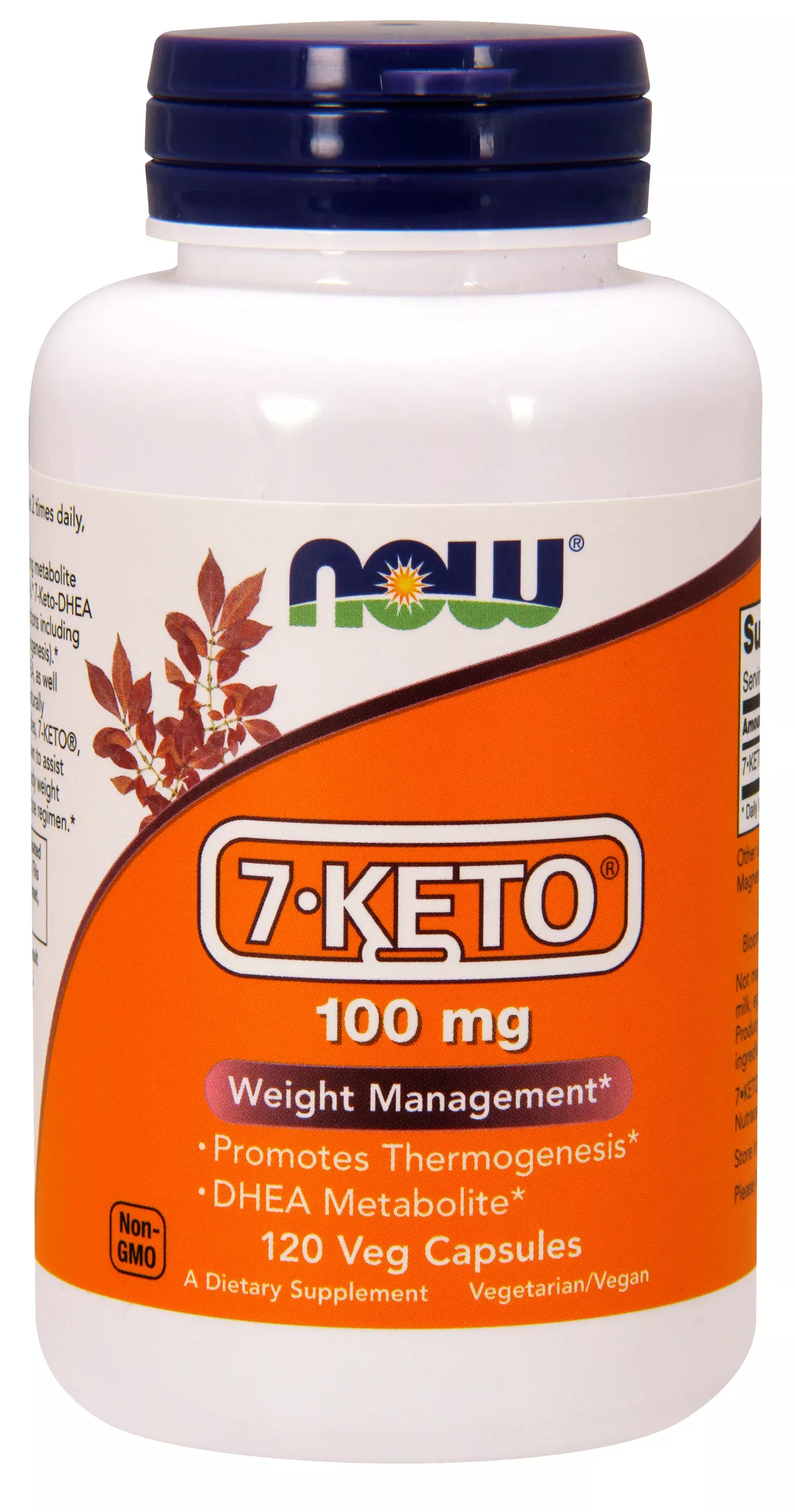 7-KETO 100 mg 120 Veg Capsules