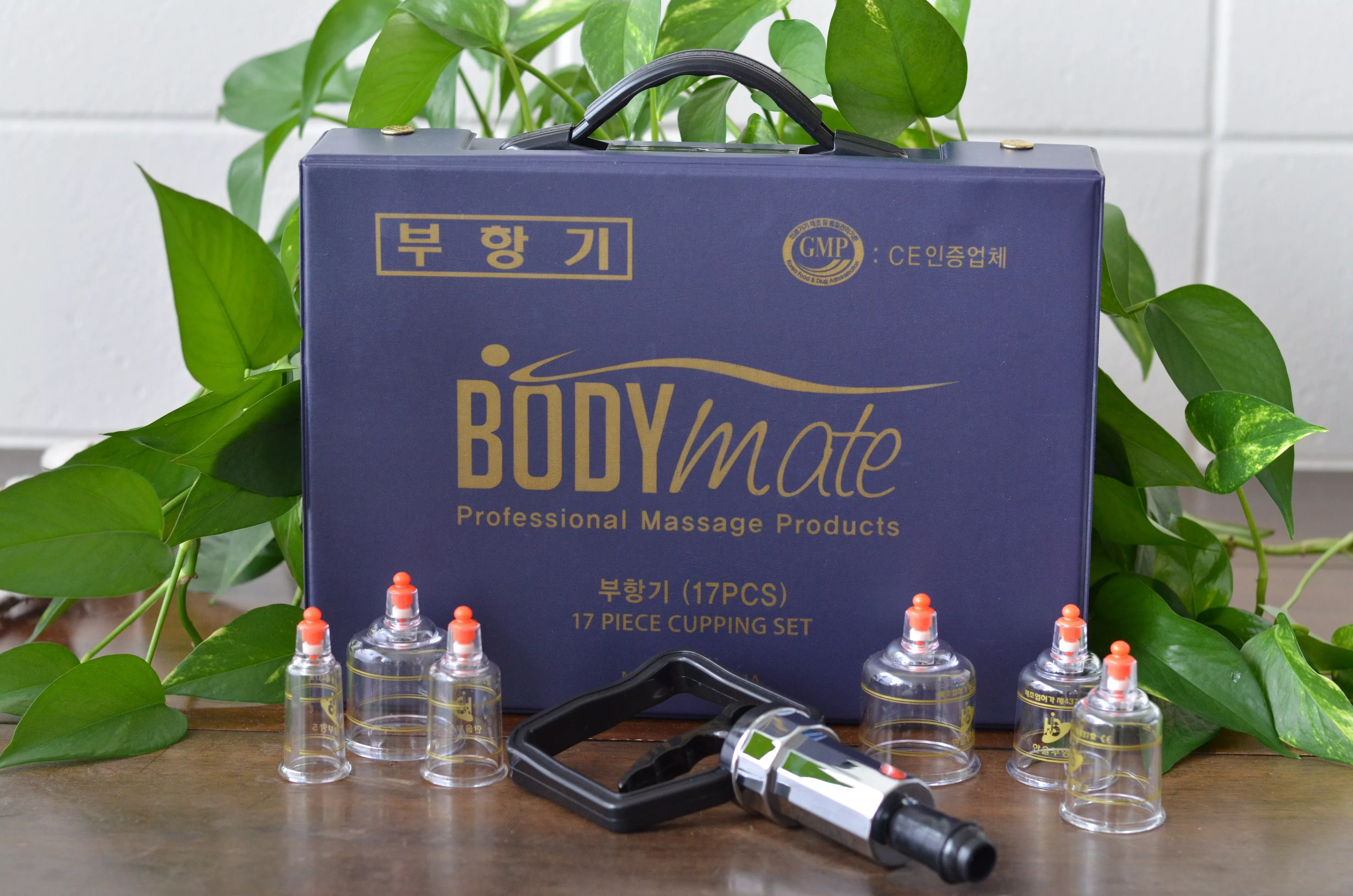 bodymate-plastic-cupping-set-17-cups-with-pump BodyMate Plastic Cupping Set - 17 cups with pump